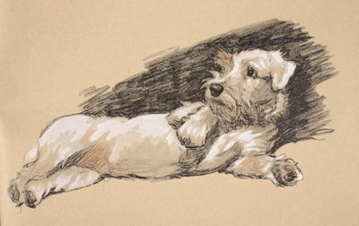 Terrier Detail, Illustrations from his Sketch Book used for 